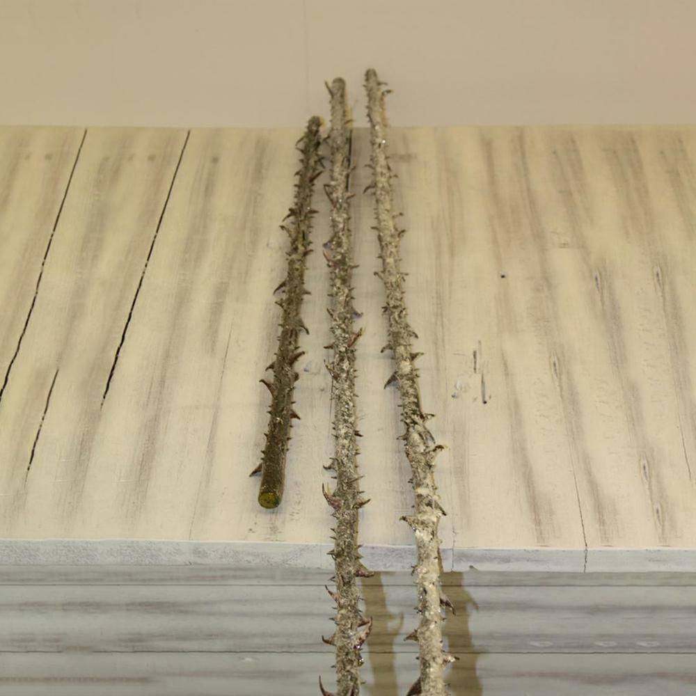 ROSA STALK-ICE- MT.1