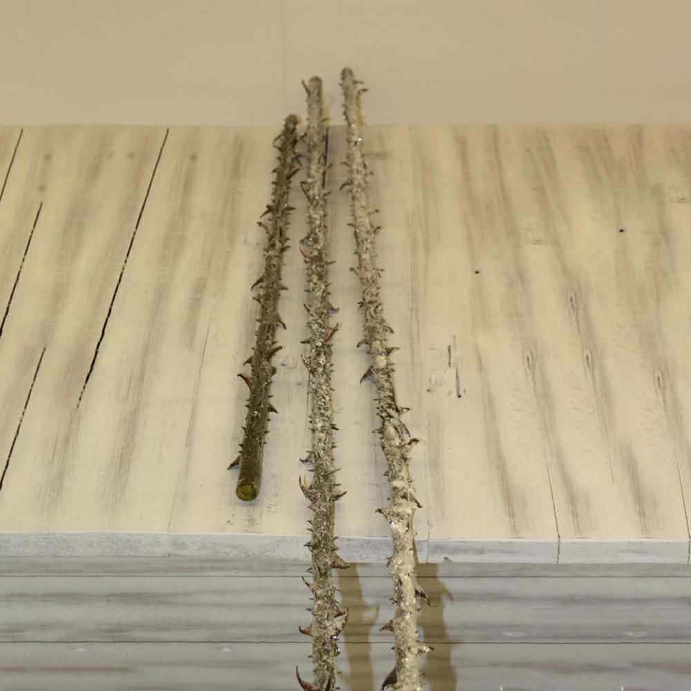 ROSA STALK-ICE- MT.1,5 CM ROSA STALK-ICE- MT.1,5 CM