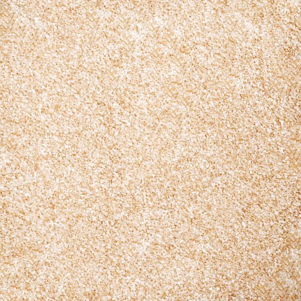 SABBIA 0,1-0,5 MM CONF.GR.1000 ALBICOCCA SABBIA 0,1-0,5 MM CONF.GR.1000 ALBICOCCA