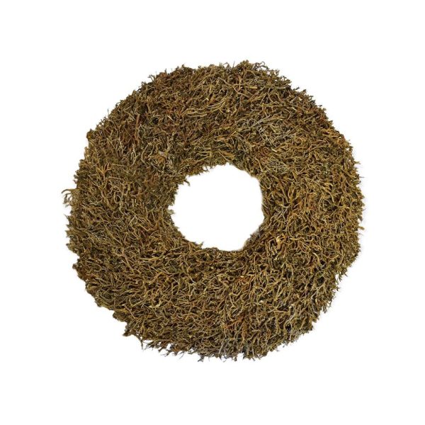 CORONA IRONBUSH D.60 CMNATURALE CORONA IRONBUSH D.60 CMNATURALE