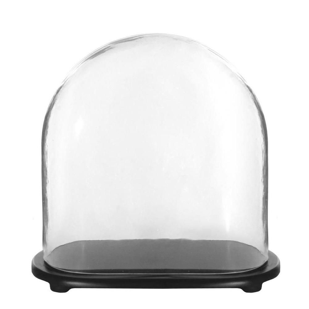 CALOTTA VETRO OVALE C/BASE LEGNO 33,5X19 CM TRASPARENTE CALOTTA VETRO OVALE C/BASE LEGNO 33,5X19 CM TRASPARENTE