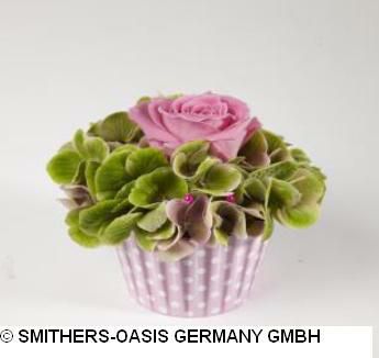 CUPCAKES SPUGNA D.8 CM CONF.PZ.6 POIS ROSA OASIS