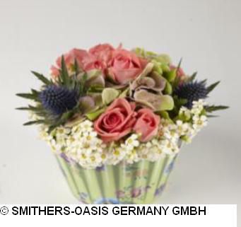 CUPCAKES SPUGNA D.12 CMCONF.PZ.6 FLOREALE MENTA OASIS