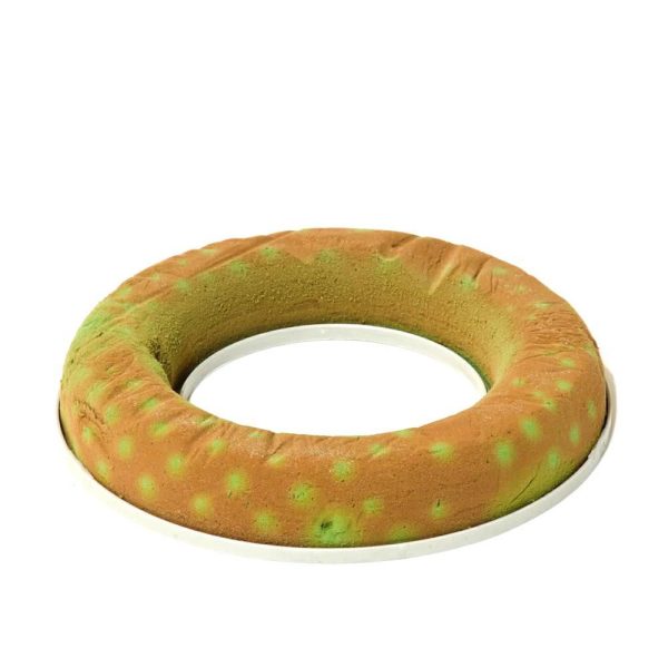 CORONA SPUGNA IDRO D.17CM CORONA SPUGNA IDRO D.17CM