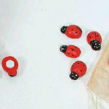 COCCINELLA MM.25 PZ.40 C/ADESIVO GW