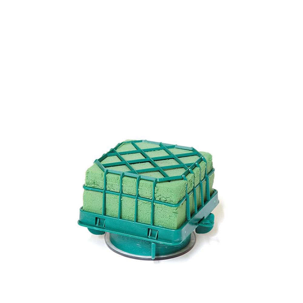 GABBIETTA VENTOSA C/SPUGNA QUAD. 11X11X9 CM EDEN GABBIETTA VENTOSA C/SPUGNA QUAD. 11X11X9 CM EDEN