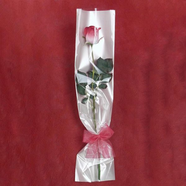 SPEZZONI PERL+TRASP.35X100 PZ100 40MY NEUTRO SPEZZONI PERL+TRASP.35X100 PZ100 40MY NEUTRO