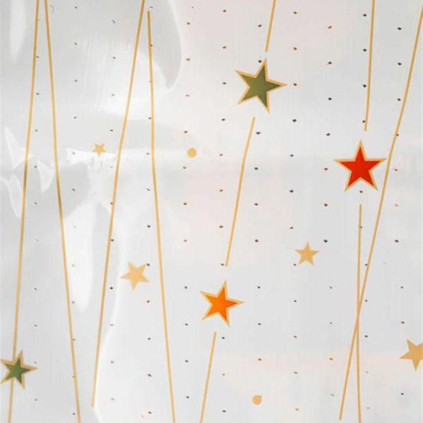 BUSTE PPL VISCHIO STELLINA 22,5X35 CM CONF.PZ.100 ARGENTO BUSTE PPL VISCHIO STELLINA 22,5X35 CM CONF.PZ.100 ARGENTO