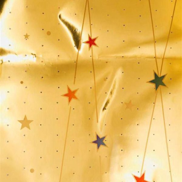 BUSTE PPL VISCHIO STELLINA 30X45 CM CONF.PZ.100 ORO