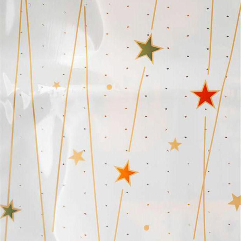 BUSTE PPL VISCHIO STELLINA 30X45 CM CONF.PZ.100 ARGENTO BUSTE PPL VISCHIO STELLINA 30X45 CM CONF.PZ.100 ARGENTO