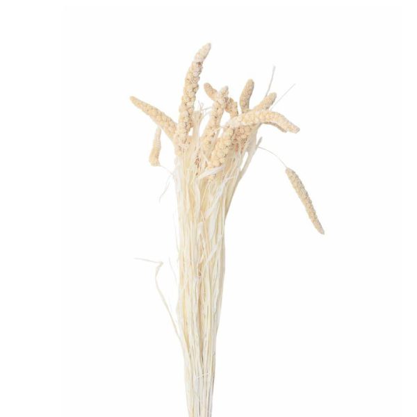 SETARIA CONF.GR.100 CM.75 BIANCO 01 SETARIA CONF.GR.100 CM.75 BIANCO 01