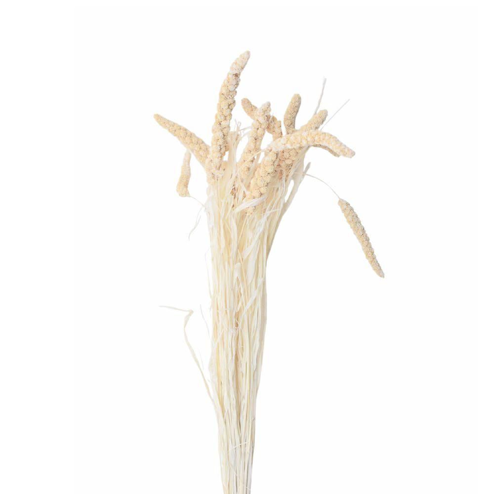 SETARIA CONF.GR.100 CM.75 BIANCO 01 SETARIA CONF.GR.100 CM.75 BIANCO 01