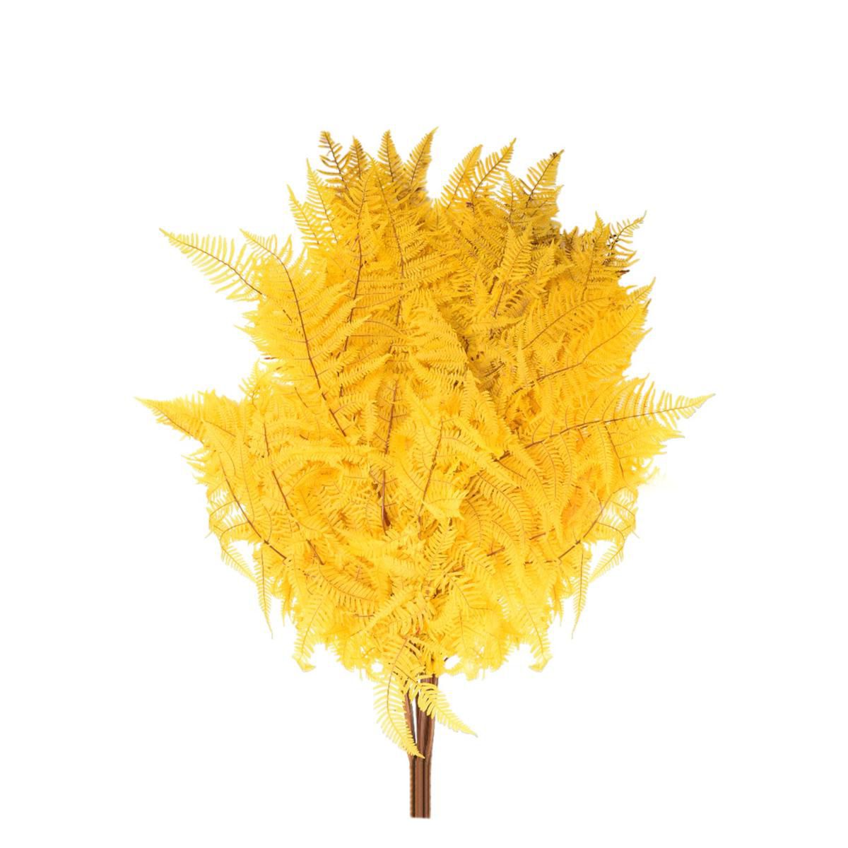 FELCIONE STABILIZZATO CONF.PZ.10 CM.60 041-GIALLO FELCIONE STABILIZZATO CONF.PZ.10 CM.60 041-GIALLO