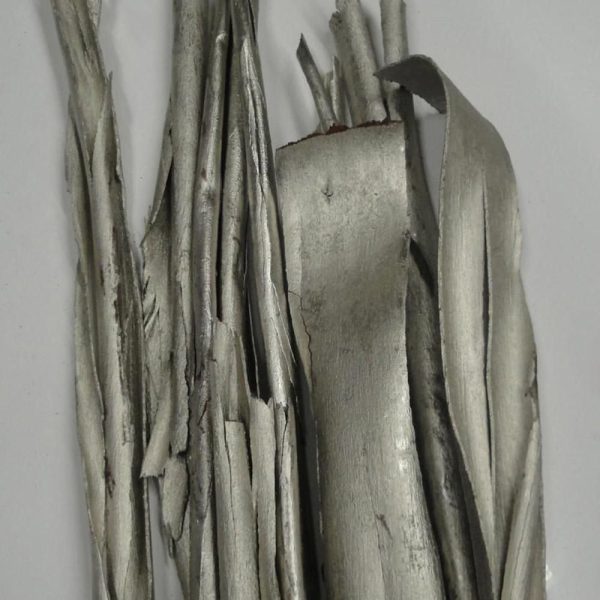 CORTECCIA EUCALYPTO CONF.GR.300 PLATINO CORTECCIA EUCALYPTO CONF.GR.300 PLATINO