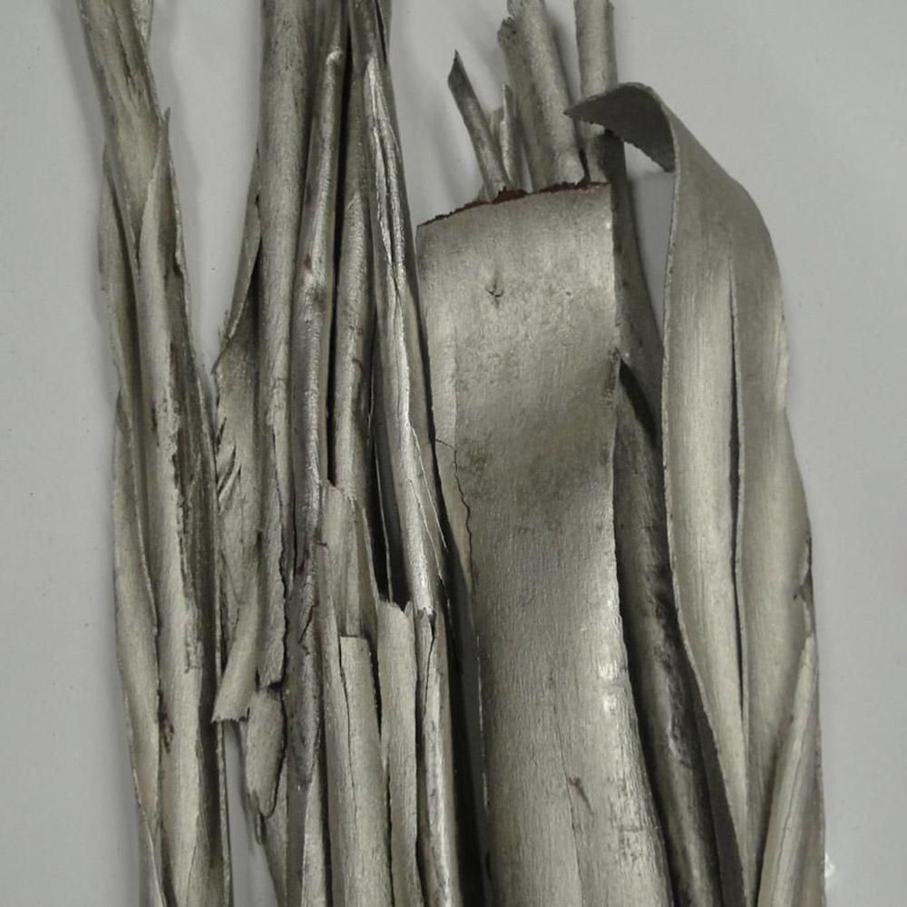 CORTECCIA EUCALYPTO CONF.GR.300 PLATINO CORTECCIA EUCALYPTO CONF.GR.300 PLATINO