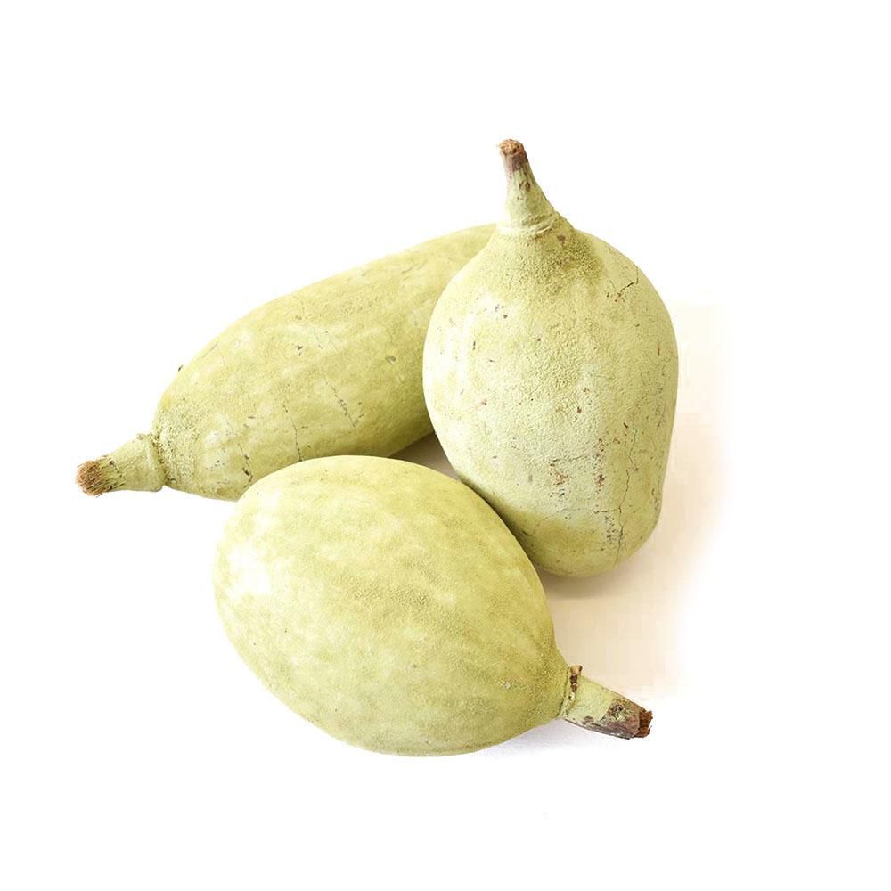 ADANSONIA GRANDE D.11 CM H.23 CM CONF.PZ.10 NATURALE VERDE