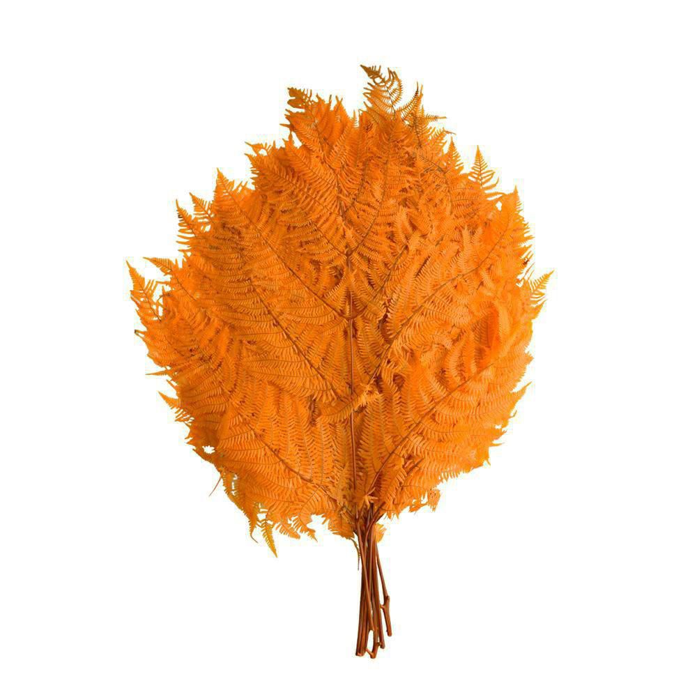 FELCIONE STABILIZZATO CONF.PZ.10 CM.60 03-ARANCIO FELCIONE STABILIZZATO CONF.PZ.10 CM.60 03-ARANCIO