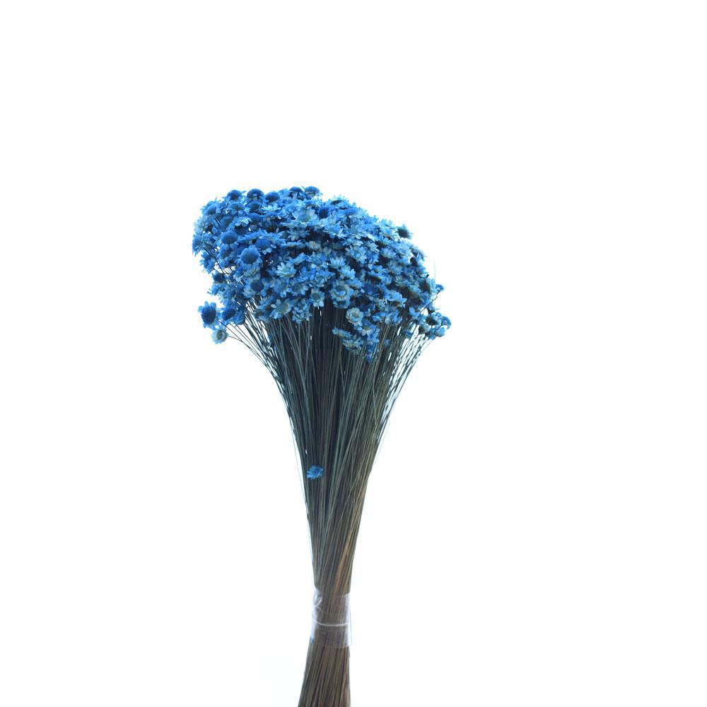 GLIXIA BREJEIRA GR.100 CM.50 CELESTE 76 GLIXIA BREJEIRA GR.100 CM.50 CELESTE 76