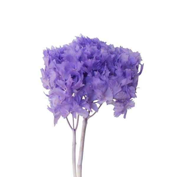 HYDRANGEA STABILIZZATA CM.40 VIOLA 128/P HYDRANGEA STABILIZZATA CM.40 VIOLA 128/P
