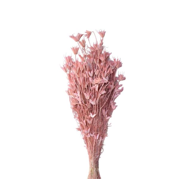 NIGELLA ORIENTALE GR.100 CIPRIA NIGELLA ORIENTALE GR.100 CIPRIA