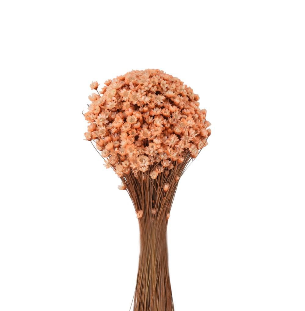 GLIXIA BREJEIRA GR.100 CM.50 MELONE 107 GLIXIA BREJEIRA GR.100 CM.50 MELONE 107