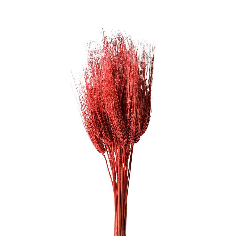 GRANO BAFFO MAZZO GR.200 ROSSO GLITTER GRANO BAFFO MAZZO GR.200 ROSSO GLITTER