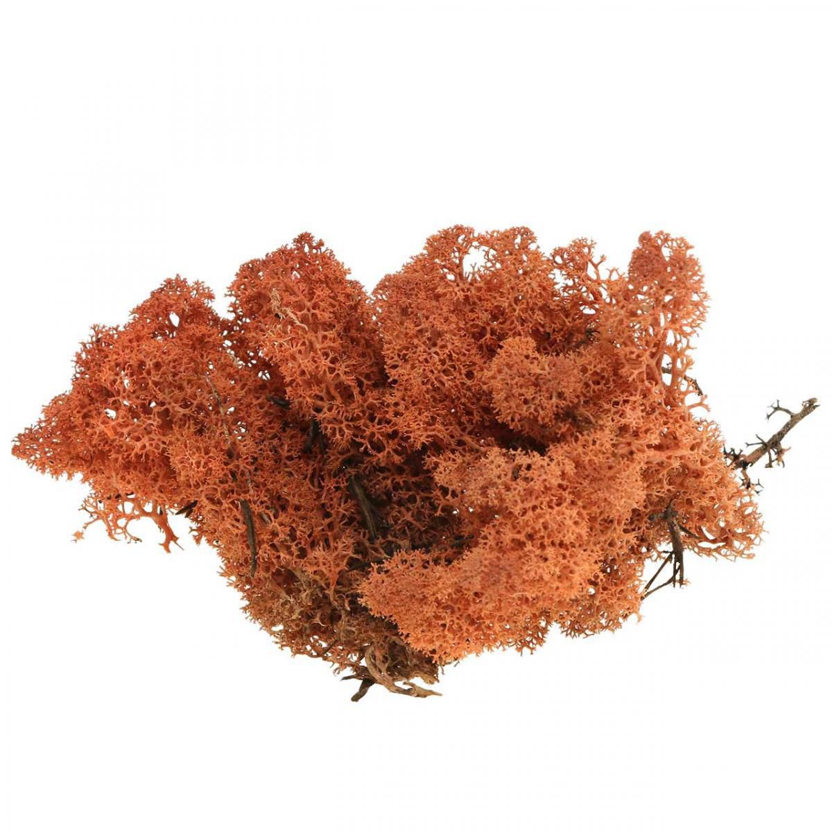 MUSCHIO NORDICO KG.1 ARANCIO 07