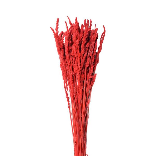 PALEONE GR.100 CM.82 ROSSO 10/P PALEONE GR.100 CM.82 ROSSO 10/P