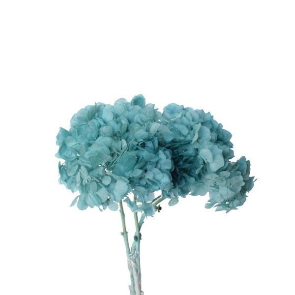 HYDRANGEA STABILIZZATA CM.40 SMERALDO 208/P HYDRANGEA STABILIZZATA CM.40 SMERALDO 208/P