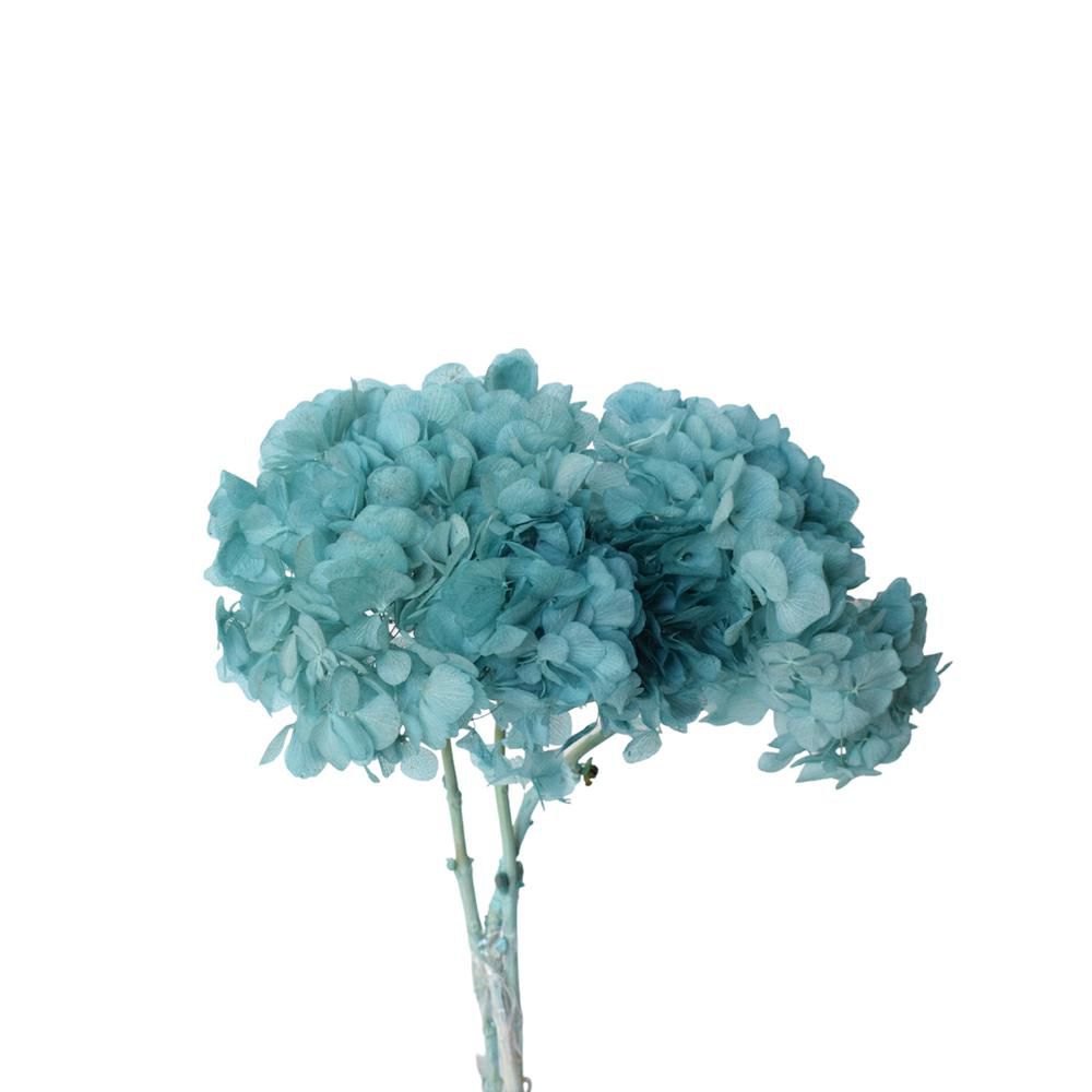 HYDRANGEA STABILIZZATA CM.40 SMERALDO 208/P HYDRANGEA STABILIZZATA CM.40 SMERALDO 208/P