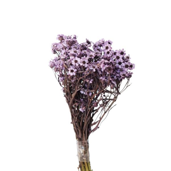 IXODIA SACCHETTO CM.30 VIOLA 128/P IXODIA SACCHETTO CM.30 VIOLA 128/P