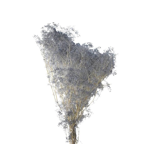 MINI GYPSOPHILA SACCHETTO GR.50 CM.52 GRIGIO 53/P MINI GYPSOPHILA SACCHETTO GR.50 CM.52 GRIGIO 53/P