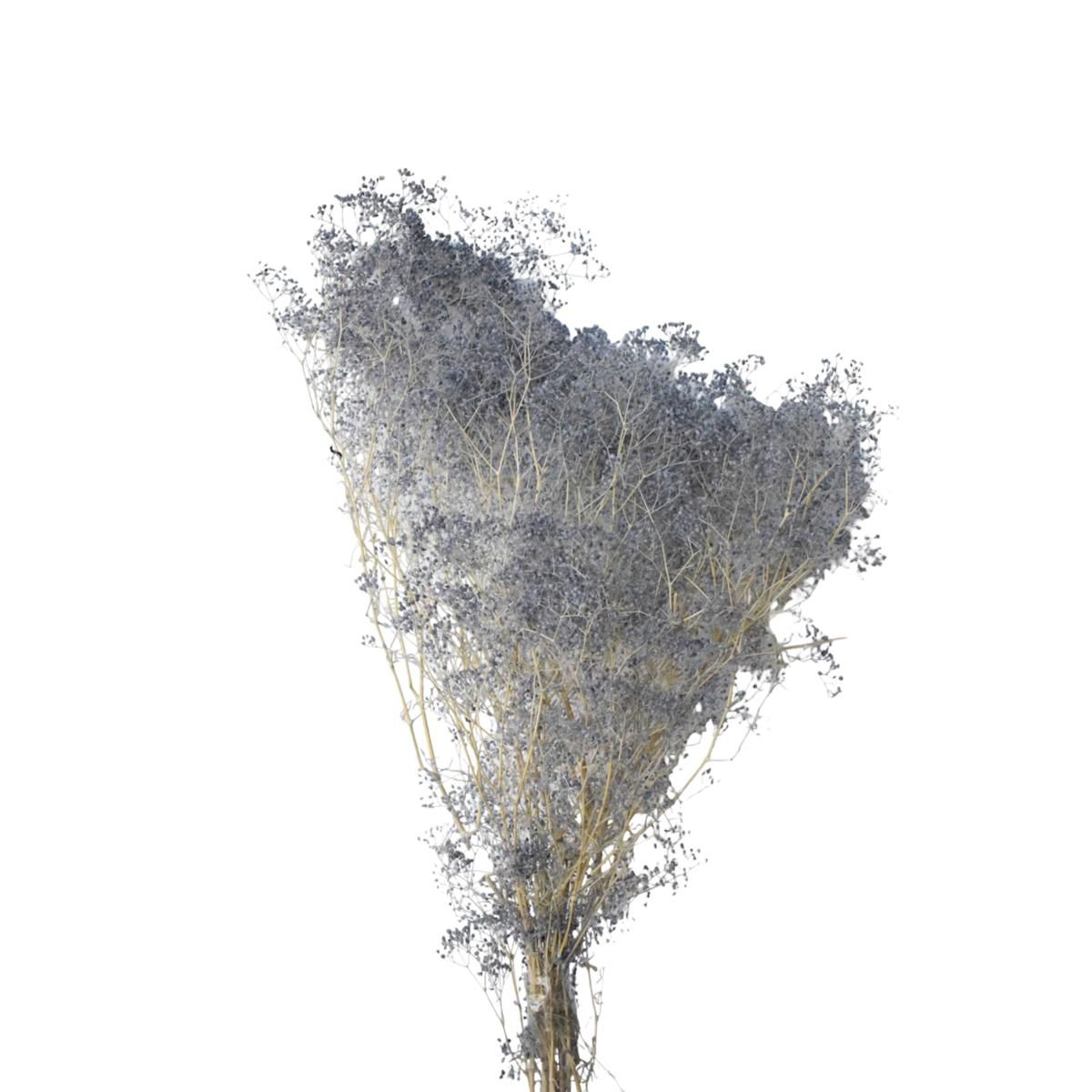 MINI GYPSOPHILA SACCHETTO GR.50 CM.52 GRIGIO 53/P MINI GYPSOPHILA SACCHETTO GR.50 CM.52 GRIGIO 53/P