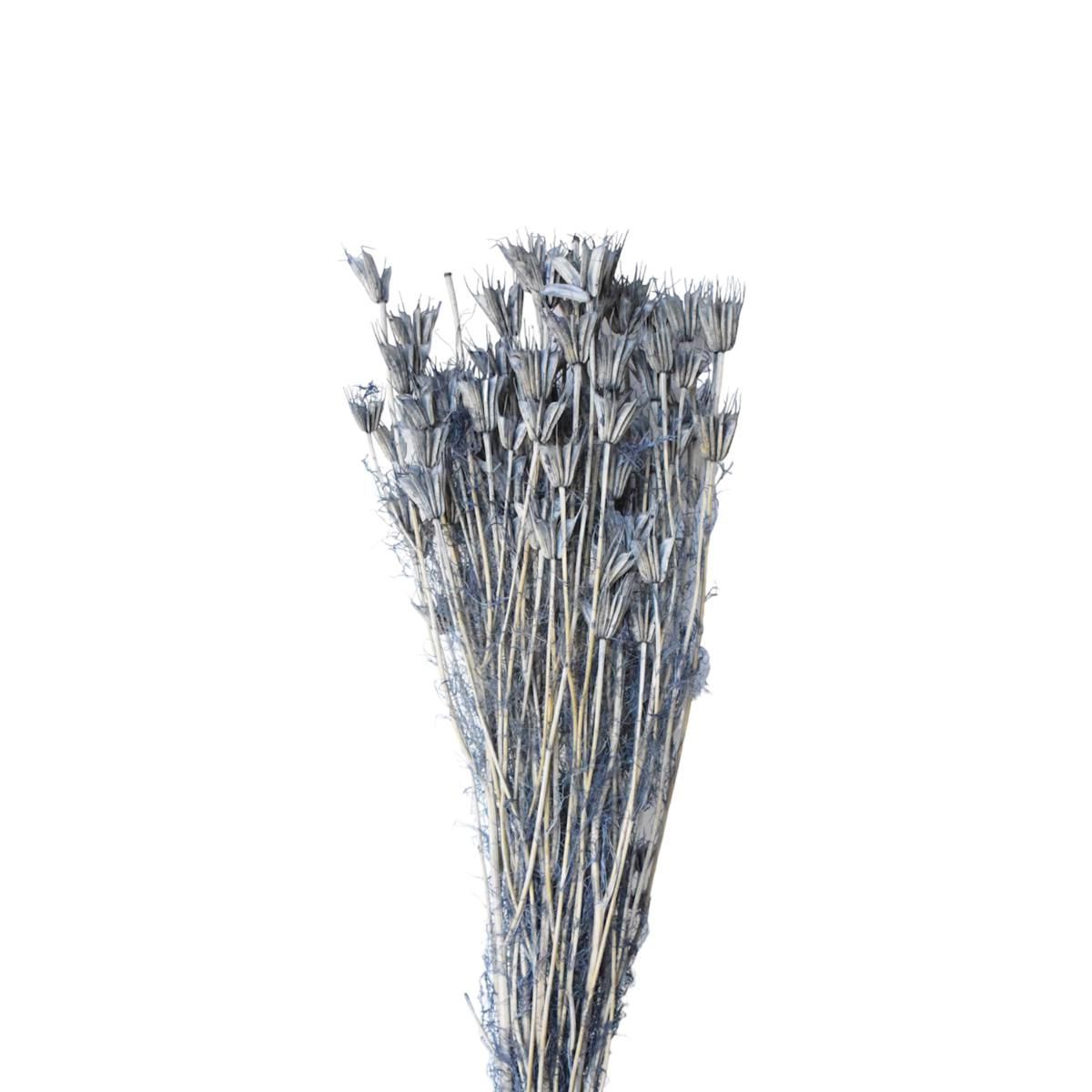 NIGELLA ORIENTALE GR.100 GRIGIO NIGELLA ORIENTALE GR.100 GRIGIO