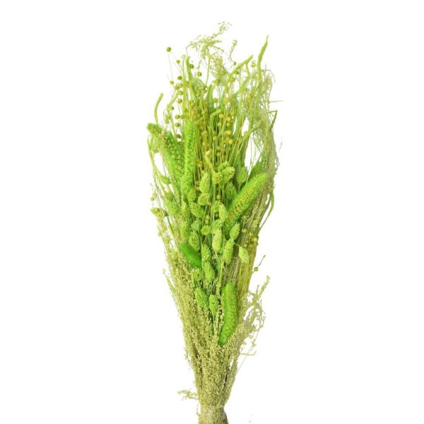 ERBE ASSORTITE GR.125 VERDE MELA 14/P ERBE ASSORTITE GR.125 VERDE MELA 14/P