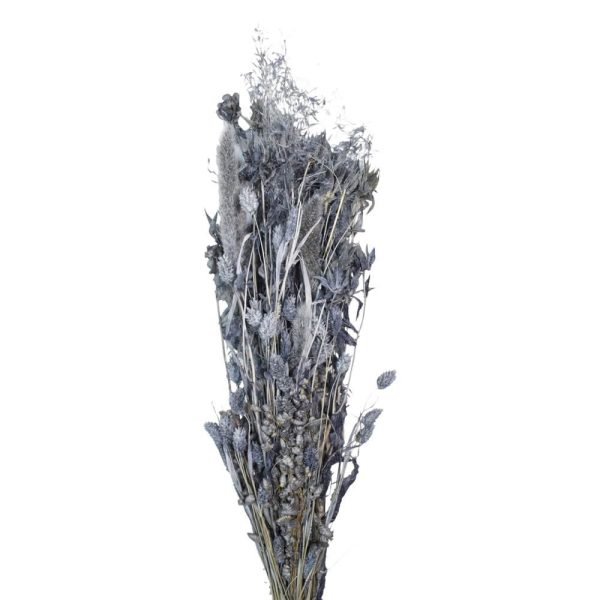 ERBE ASSORTITE GR.125 GRIGIO 53/P ERBE ASSORTITE GR.125 GRIGIO 53/P