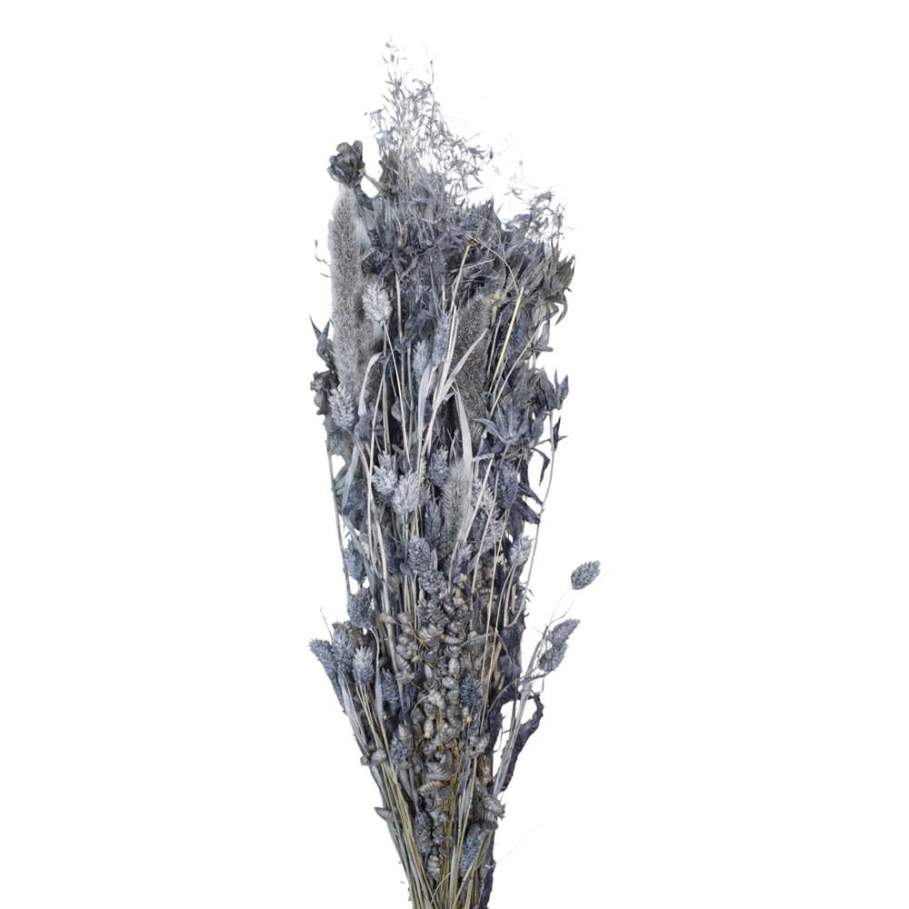 ERBE ASSORTITE GR.125 GRIGIO 53/P ERBE ASSORTITE GR.125 GRIGIO 53/P