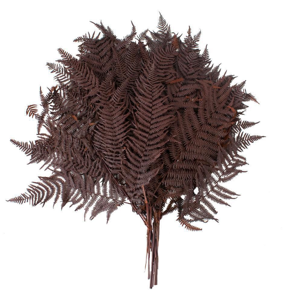 FELCIONE STABILIZZATO CONF.PZ.10 CM.60 007-MARRONE FELCIONE STABILIZZATO CONF.PZ.10 CM.60 007-MARRONE