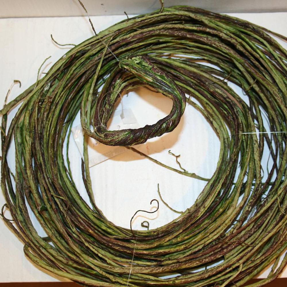 WILLOW BRANCH TONDO VERDE TIGLIO WILLOW BRANCH TONDO VERDE TIGLIO