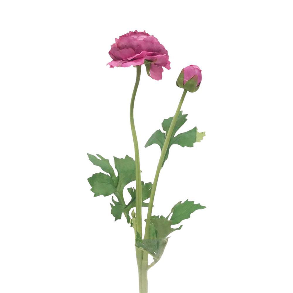 RANUNCOLO SPRAY 1F CM.45 FUXIA RANUNCOLO SPRAY 1F CM.45 FUXIA