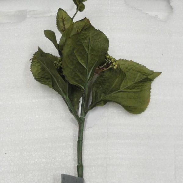 HYDRANGEA SEADS SPRAY 9F CM.40 ALBICOCCA HYDRANGEA SEADS SPRAY 9F CM.40 ALBICOCCA