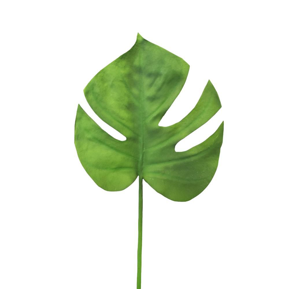 MONSTERA FOGLIA CM.67 VERDE