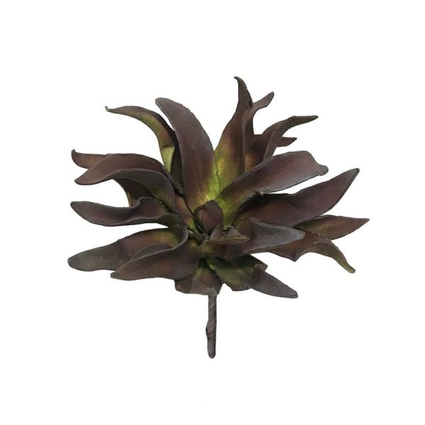 ALOE FOAM CM.27 BURGUNDY ALOE FOAM CM.27 BURGUNDY