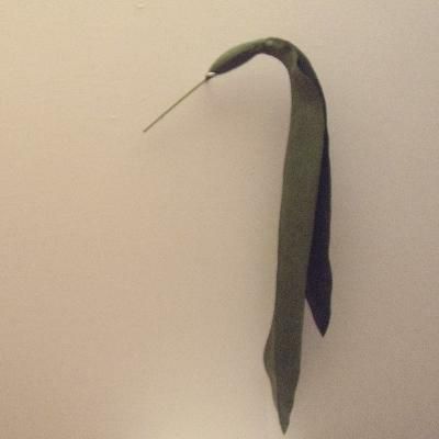 PHALAENOPSIS FOGLIE BUSH CM.113 VERDE