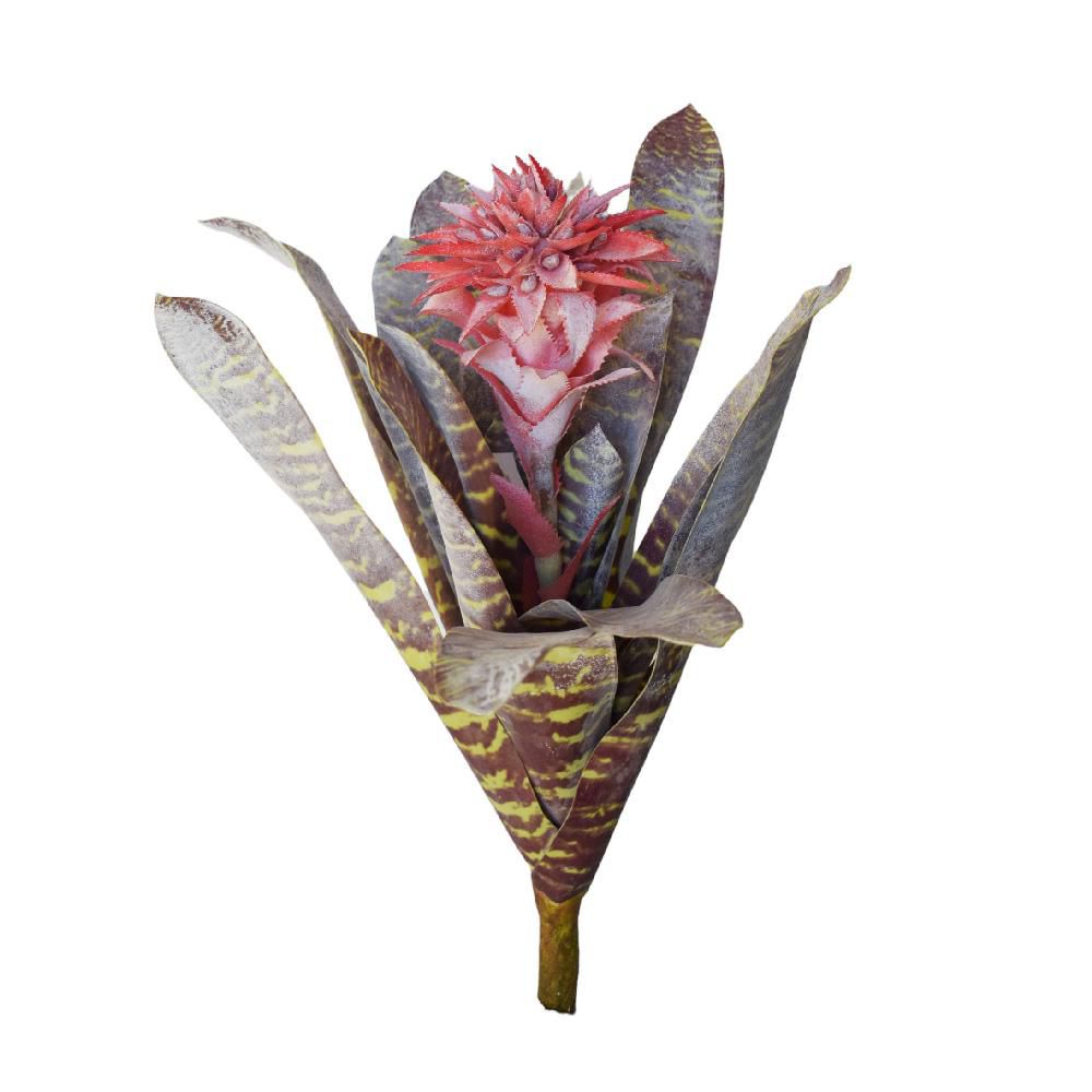 BROMELIA PIANTA CM.55 GIALLO/ARANCIO/ROSSO BROMELIA PIANTA CM.55 GIALLO/ARANCIO/ROSSO