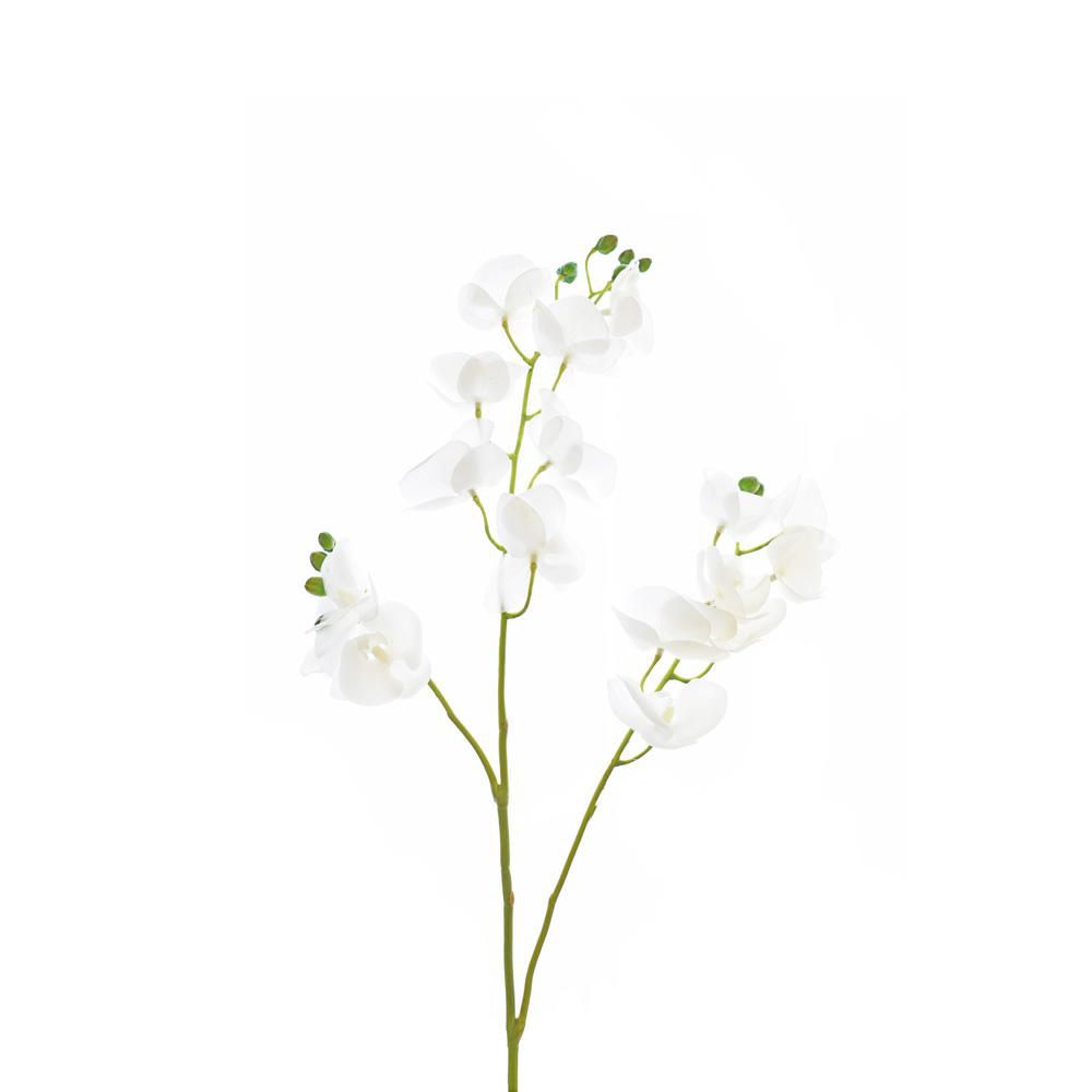 PHALAENOPSIS BRANCH 3X CM.80 BIANCO