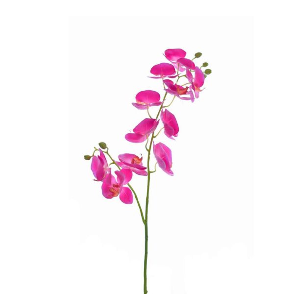 PHALAENOPSIS SPRAY 11F 6B CM.85 PORPORA PHALAENOPSIS SPRAY 11F 6B CM.85 PORPORA