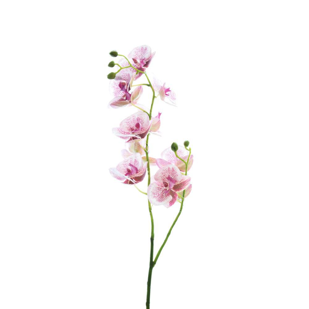 PHALAENOPSIS SPRAY 11F 6B CM.85 ROSA/BIANCO