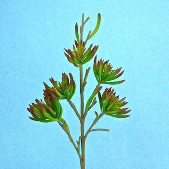 SUCCULENT RAMO CM.90 BURGUNDY/VERDE SUCCULENT RAMO CM.90 BURGUNDY/VERDE