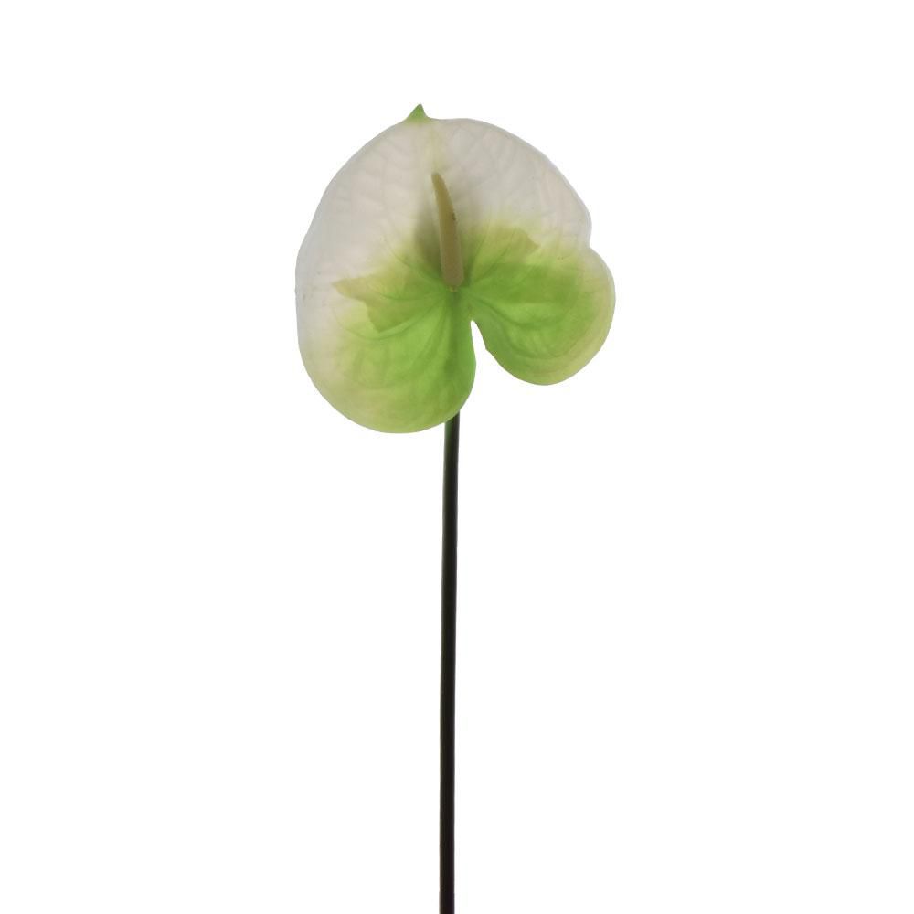 ANTHURIUM RAMO CM 60 BIANCO/VERDE ANTHURIUM RAMO CM 60 BIANCO/VERDE